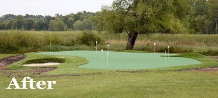 Putting Green 3 - Michelangelo Putting Greens, Minneapolis