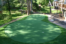 Putting Green 68 - Michelangelo Putting Greens, Minneapolis