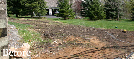 Putting Green 71 - Michelangelo Putting Greens, Minneapolis