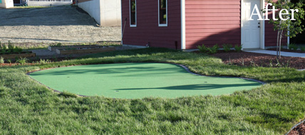 Putting Green 72 - Michelangelo Putting Greens, Minneapolis