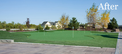 Putting Green 49 - Michelangelo Putting Greens, Minneapolis