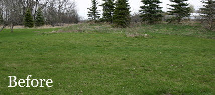 Putting Green 50 - Michelangelo Putting Greens, Minneapolis