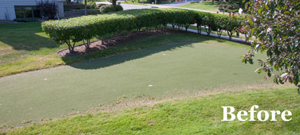 Putting Green 18 - Michelangelo Putting Greens, Minneapolis