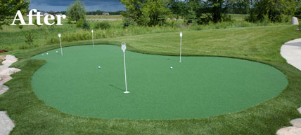 Putting Green 40 - Michelangelo Putting Greens, Minneapolis