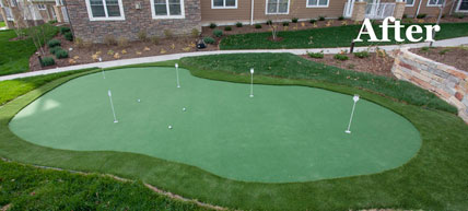 Putting Green 38 - Michelangelo Putting Greens, Minneapolis