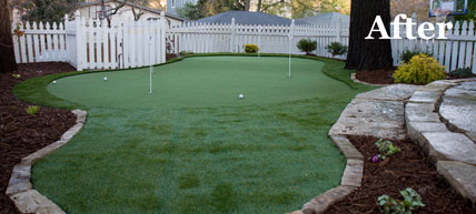 Putting Green 27 - Michelangelo Putting Greens, Minneapolis