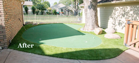 New Putting Green 1 - Michelangelo Putting Greens, Minneapolis