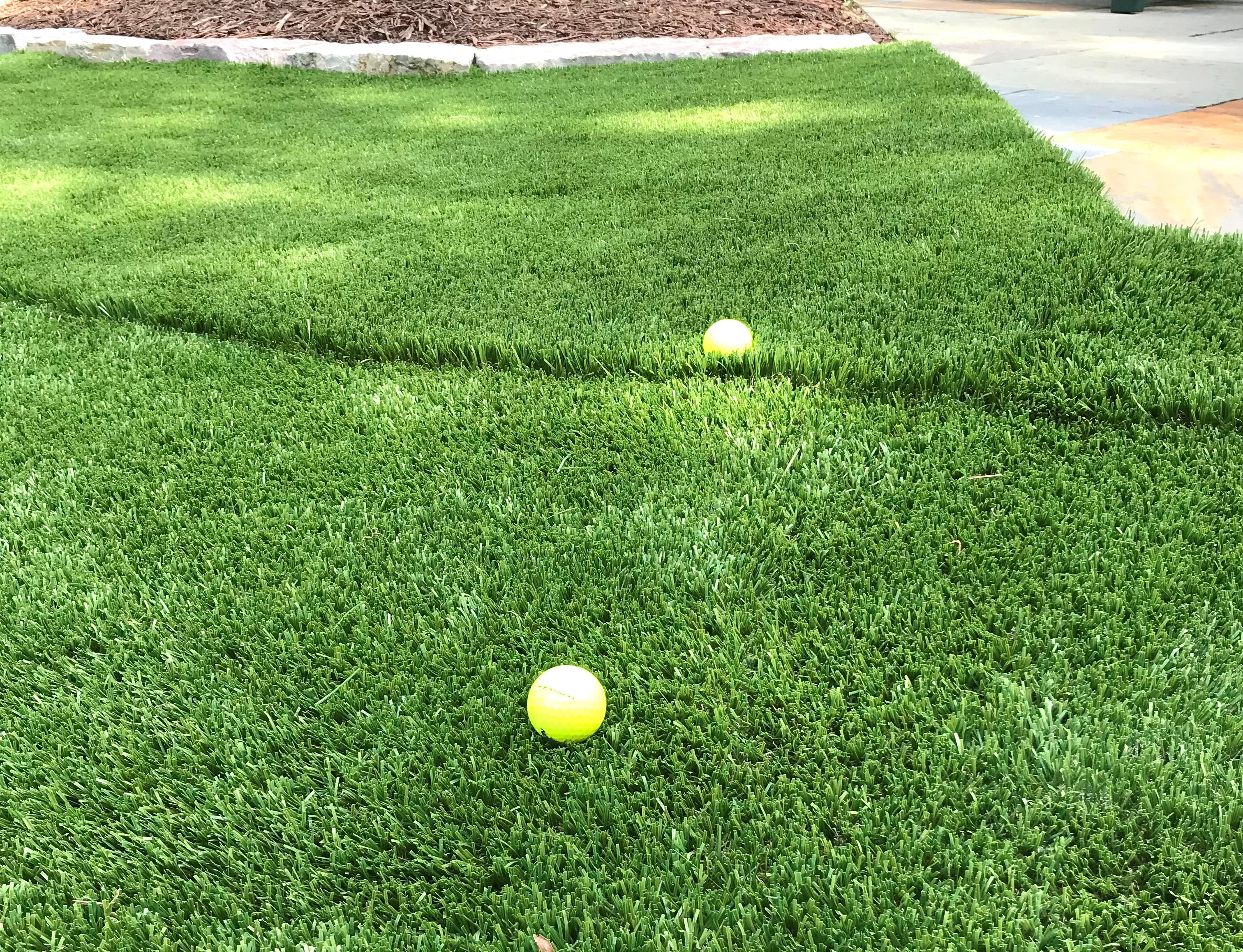 Minnesota Putting Greens - Lawns and Pet Areas Waterless Grass™