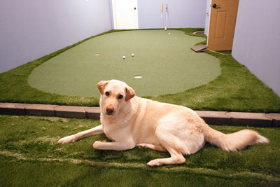 Indoor Putting Green 14 - Michelangelo Putting Greens, Minneapolis